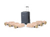 Little Anne 6-pack (135-01350)
