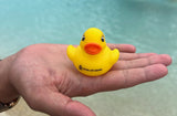 Keep Watch - Duck (x1)