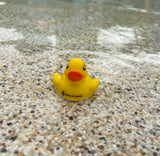 Keep Watch - Duck (x1)