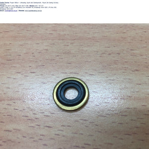 O Ring (Bodok Seal) for Oxygen Regulator